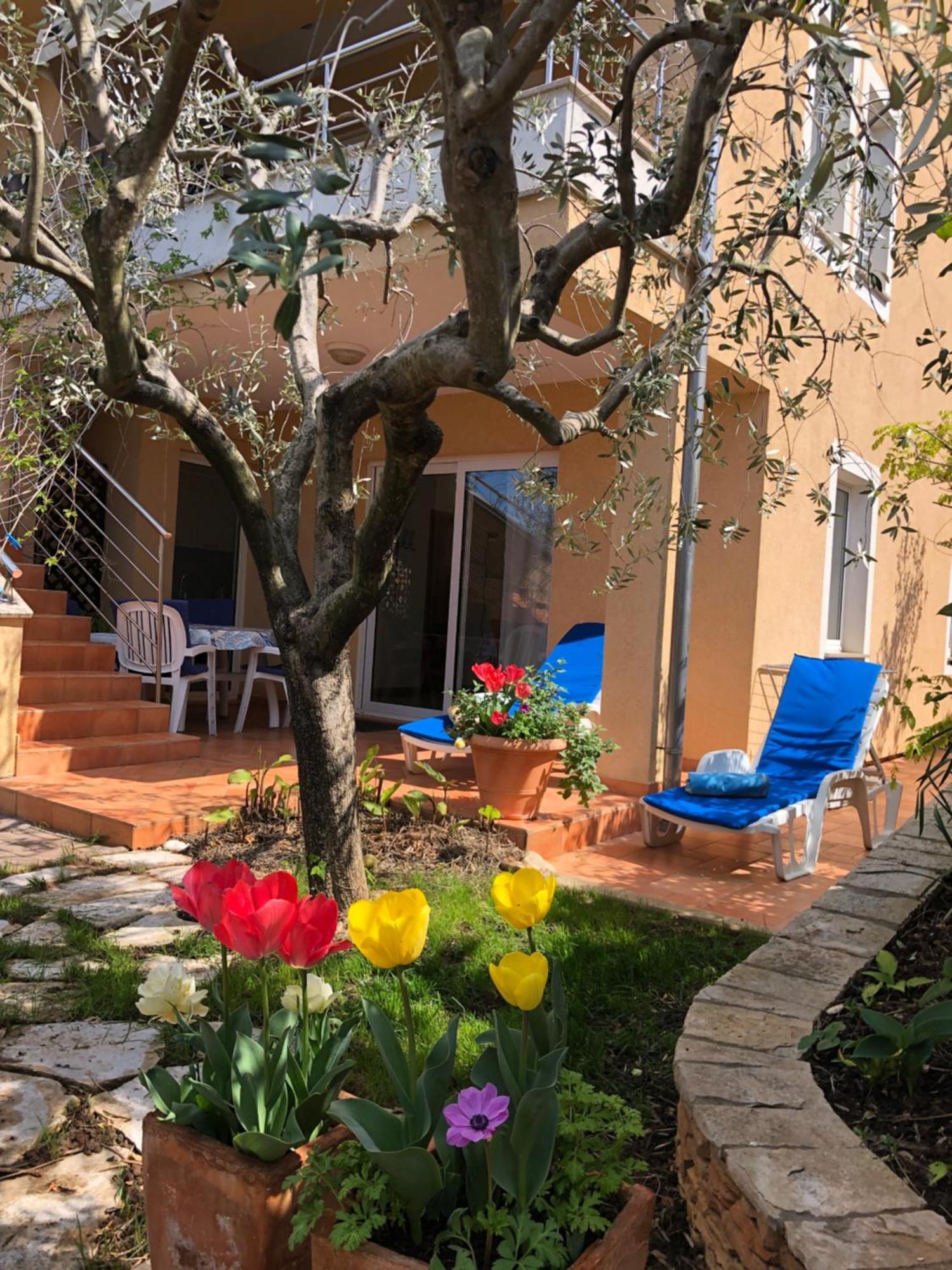 Villa Alexandra 4 Pjescana Uvala Kültér fotó